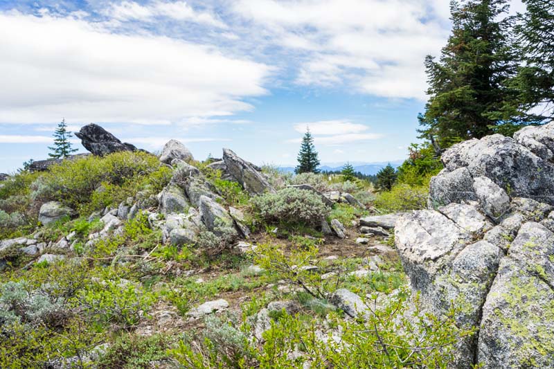 n_Split Rock Trail sunny day-5.jpg